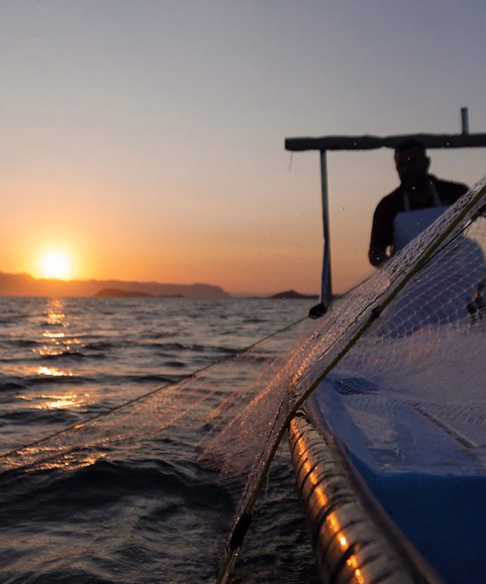 Coastal communities and livelihoods