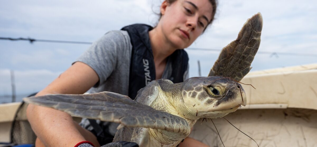 In hard-hit fishing communities, scientists help improve output — and ...